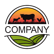 Company 1 